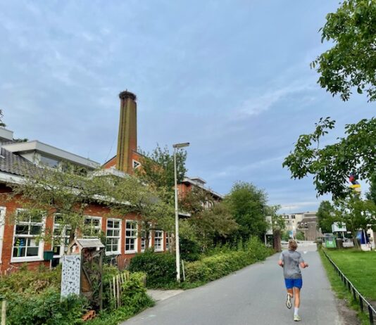 Ooievaarsjong Westerpark gered door brandweer en Dierenambulance
