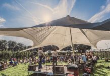 Zomerfeest met markt en live muziek in Tuinen van West