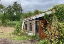 Actie voor dringende opknapbeurt Bijenpaleis in Westerpark