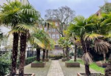 Tuin koeler met minder tegels en meer groen