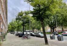 Bezwaar bewoners tegen kap bomen Bos en Lommerweg afgewezen