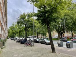 Bewoners maken bezwaar tegen kappen bomen Bos en Lommerweg