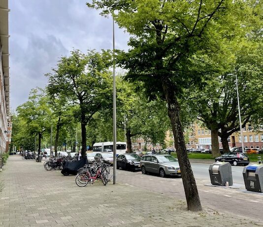 Bewoners maken bezwaar tegen kappen bomen Bos en Lommerweg
