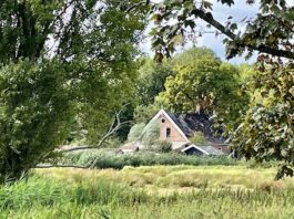 Buurtboerderij dicht tot zeker oktober 2025 vanwege brandschade