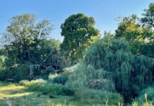 Buurtboerderij blijft voorlopig dicht – brand ontstond op zolder