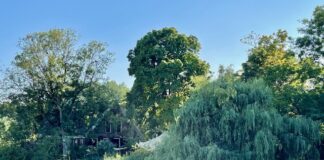 Buurtboerderij blijft voorlopig dicht – brand ontstond op zolder