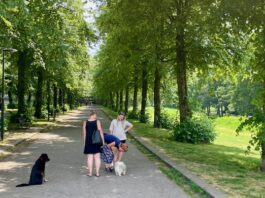 Meer groen en kleur, deelkastjes, kinderkookfeest en kraan voor honden: dit zijn de plannen voor West Begroot