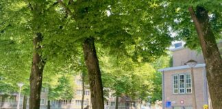 Waterpret voor de kleintjes: gratis peuterbaden in de buurt