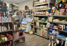 Pets’ Delight heeft hondenijs met kippenlever en appel