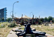 Ayo! Indo & Moluks festival op Stenen Hoofd