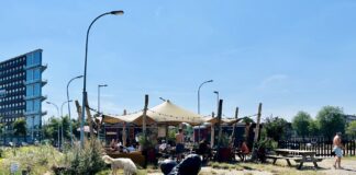 Ayo! Indo & Moluks festival op Stenen Hoofd