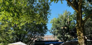 7x smullen op z’n Grieks in Amsterdam-West