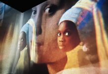 Het verhaal achter dit meisje met de parel