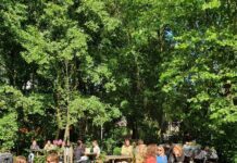 Spaarndammerdijk Festival: gratis feest bij Villa Buitenlust