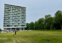 Bostuin met vlonderpad wordt groene entree Westerpark