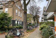 14 bomen op WG-terrein moeten weg voor aanleg warmtenet