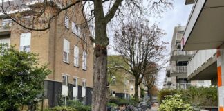 14 bomen op WG-terrein moeten weg voor aanleg warmtenet
