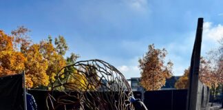 Kunstwerk The Underground Tree in Westerpark feestelijk onthuld