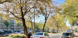 Advies: drempels en versmallingen op ‘racebaan’ Nassaukade in jaar 2027