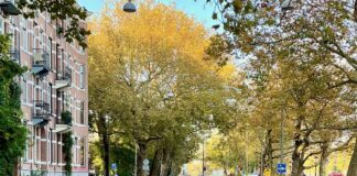 OM wil meer flitspalen inzetten langs wegen met 30 km/u