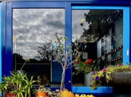 Rijke pompoenoogst uit de schooltuinen