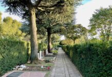 Resomeren op begraafplaats St. Barbara stap dichterbij