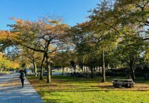 Oud-Amsterdammers geven hun stad een 5,6