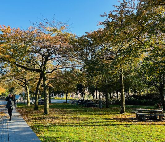 De 12 tofste herfstwandelingen met natuur, cultuur en lekkers in West en Nieuw-West