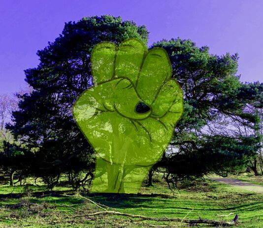 Sprekende bomen in Domela Nieuwenhuisplantsoen, Westerpark en Erasmuspark