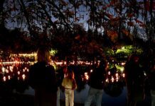 Denken aan de mensen die we missen: lichtjes in het Vondelpark