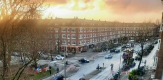 Kap bomen Bos en Lommerweg begonnen