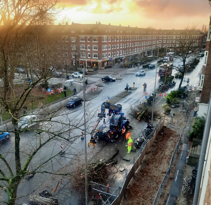 Bomenkap Bos en Lommerwegkap