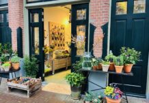 Mooi Anders breidt uit: ‘Vraag naar biologische bloemen is gestegen’