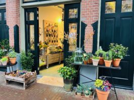 Mooi Anders breidt uit: ‘Vraag naar biologische bloemen is gestegen’