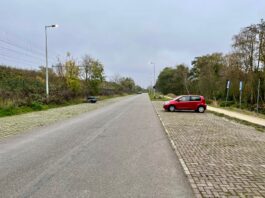 Ruim 90 parkeerplekken weg en nieuw groen bij volkstuinen Westerpark