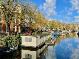 GroenLinks dringt aan op behoud bomen Da Costakade