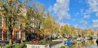 GroenLinks dringt aan op behoud bomen Da Costakade