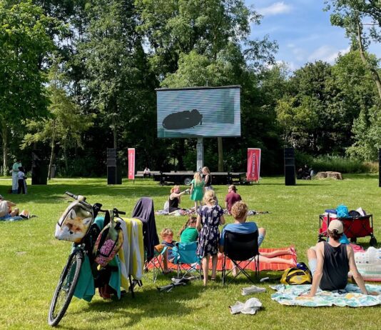 Meer groen en verbinding: deze 21 bewonersplannen worden uitgevoerd