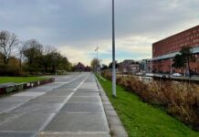 Komt er een rij bomen langs kade Westergasterrein?