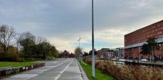 Komt er een rij bomen langs kade Westergasterrein?