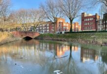 Flinterdun laagje ijs bij Erasmuspark