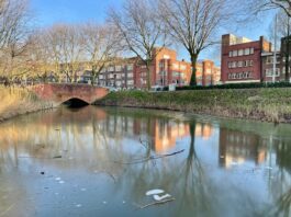 Flinterdun laagje ijs bij Erasmuspark
