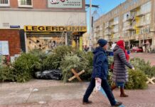 Berg afgedankte kerstbomen in Kinkerstraat