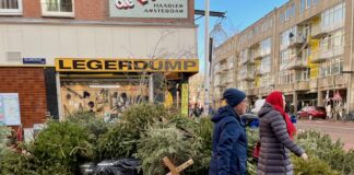 Berg afgedankte kerstbomen in Kinkerstraat