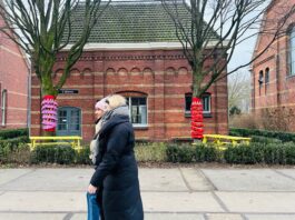 Meterhuisje Westergas: dé plek voor groene exposities