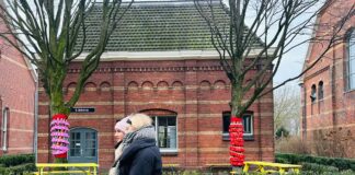 Meterhuisje Westergas: dé plek voor groene exposities