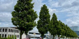 Uitbreiding betaald parkeren in Nieuw-West