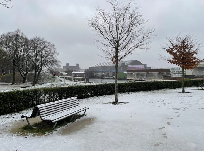Sneeuw Bos en Lommer