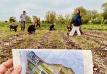 Films en gesprekken over stadslandbouw in Cinema De Vlugt