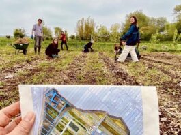 Films en gesprekken over stadslandbouw in Cinema De Vlugt